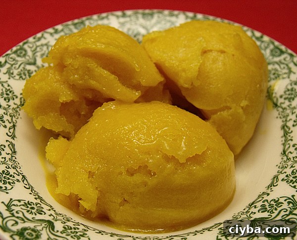 Mango Lime Sorbet 