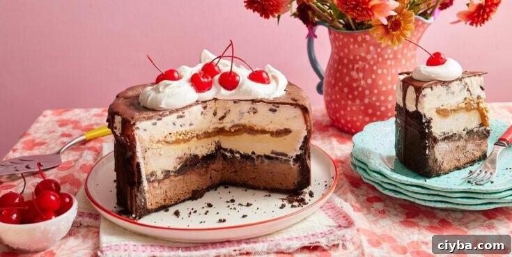 Image for Ice Cream Cake Recipe With Chocolate Sauce