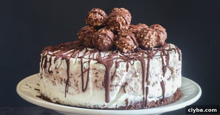 Image for Easy Ice Cream Cake Recipe