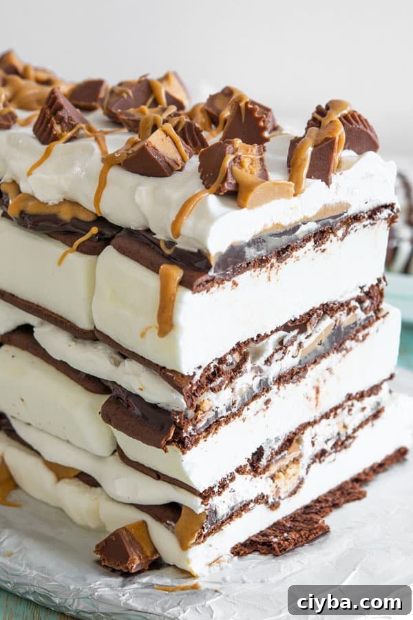 Image for Peanut Butter Ice Cream Sandwich Cake