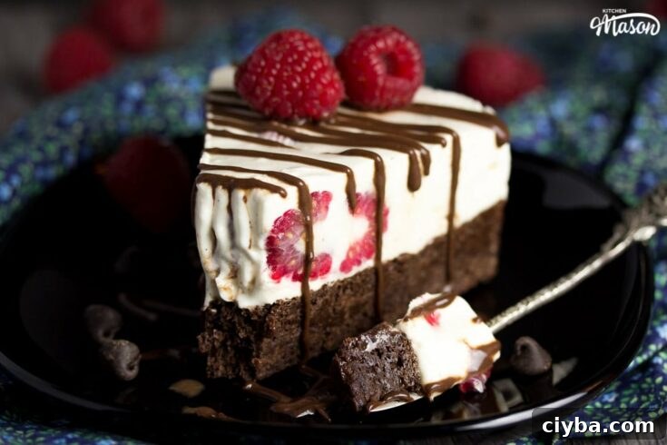 Image for How to Make an Indulgent Vegan Gluten Free Raspberry Brownie Ice Cream Cake!