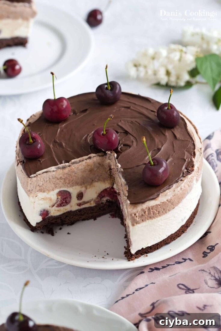 Image for Easy Black Forest No Churn Ice Cream Cake