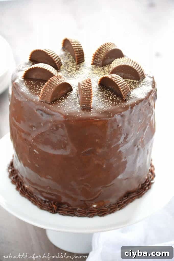 Image for Chocolate Peanut Butter Cup Ice Cream Cake