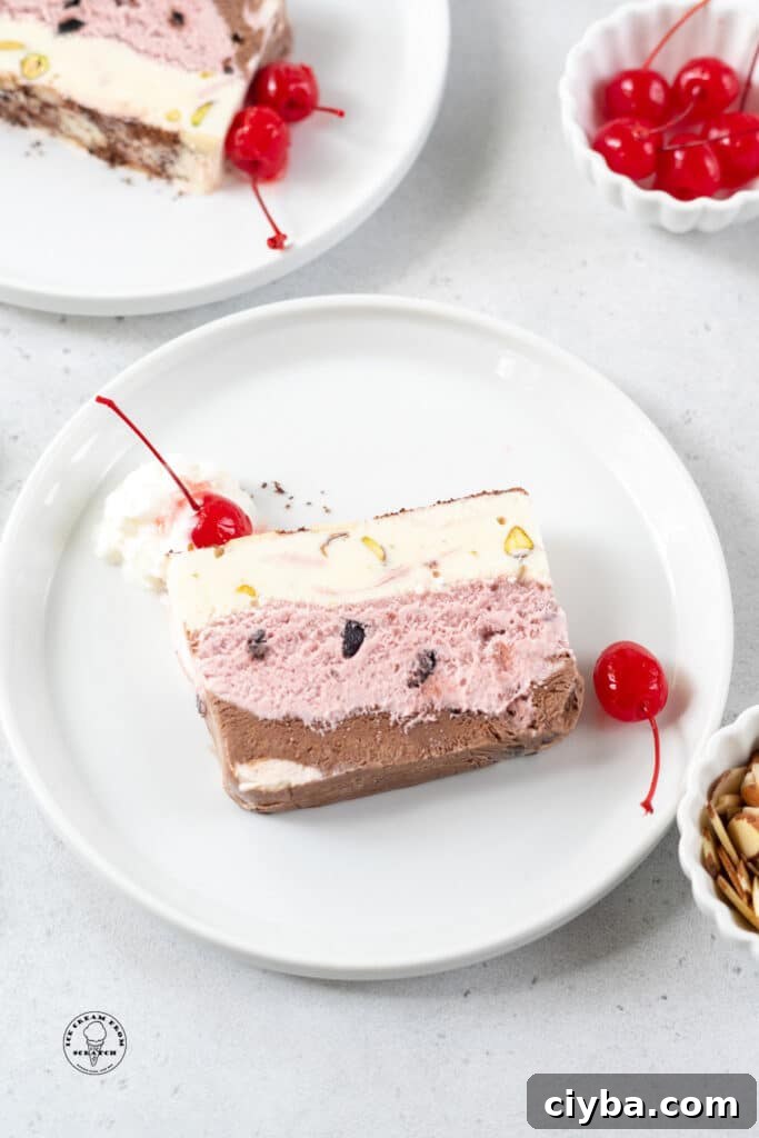 top down view of a slice of spumoni ice cream