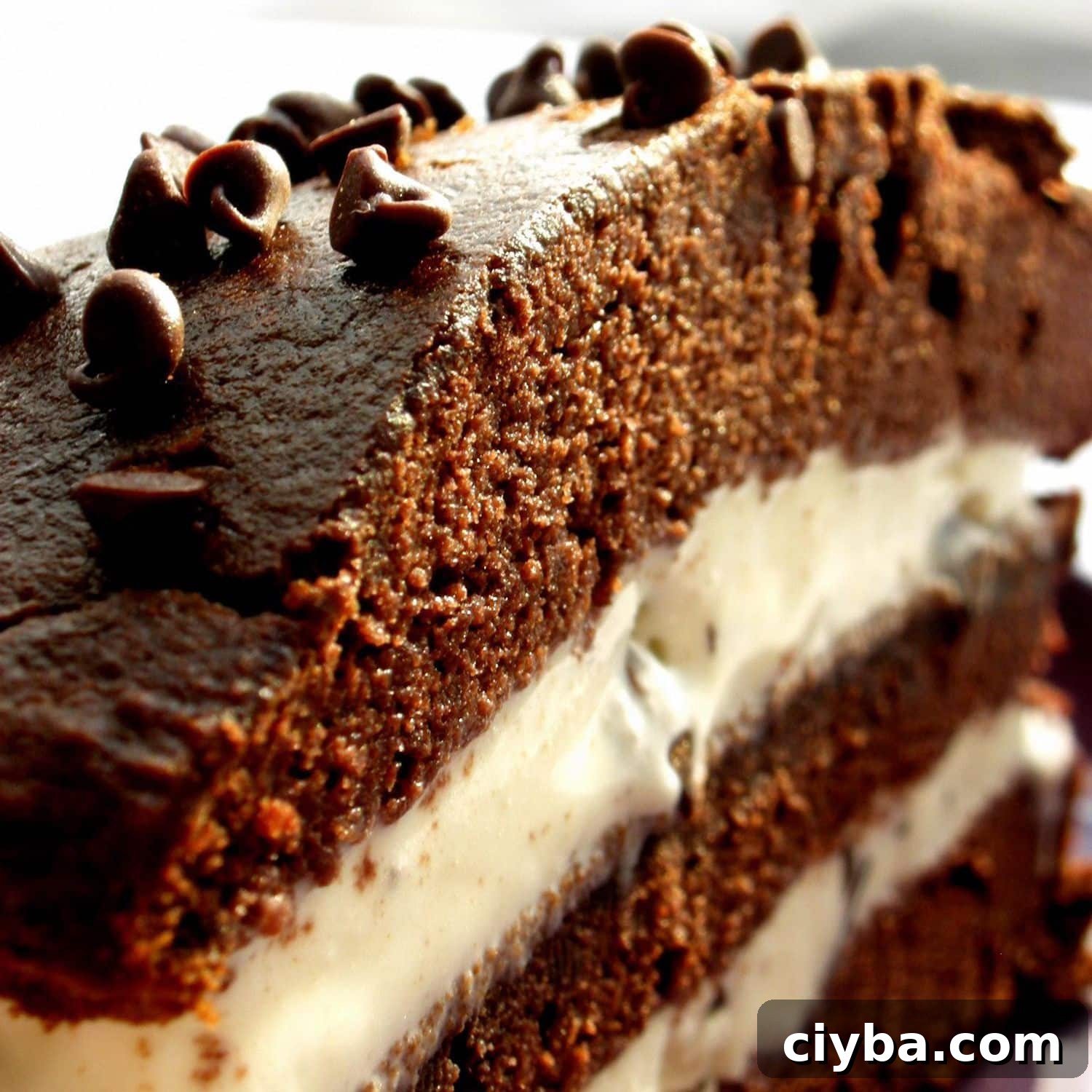 Image for Simple Ice Cream Cake Recipe