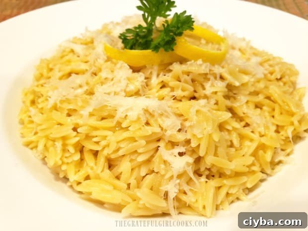 Lemon Parmesan Orzo garnished