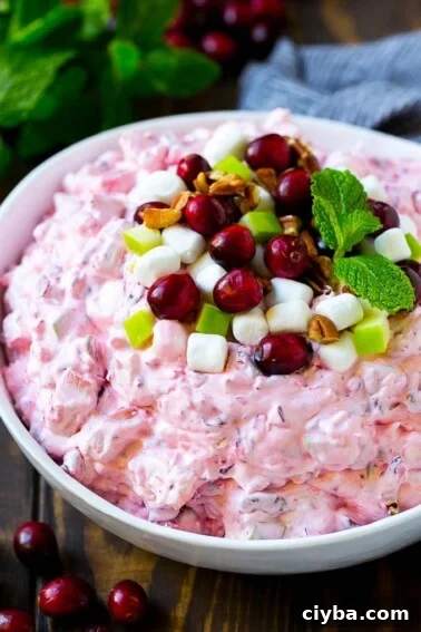 Cranberry salad garnished with cranberries, marshmallows, pecans and apples.