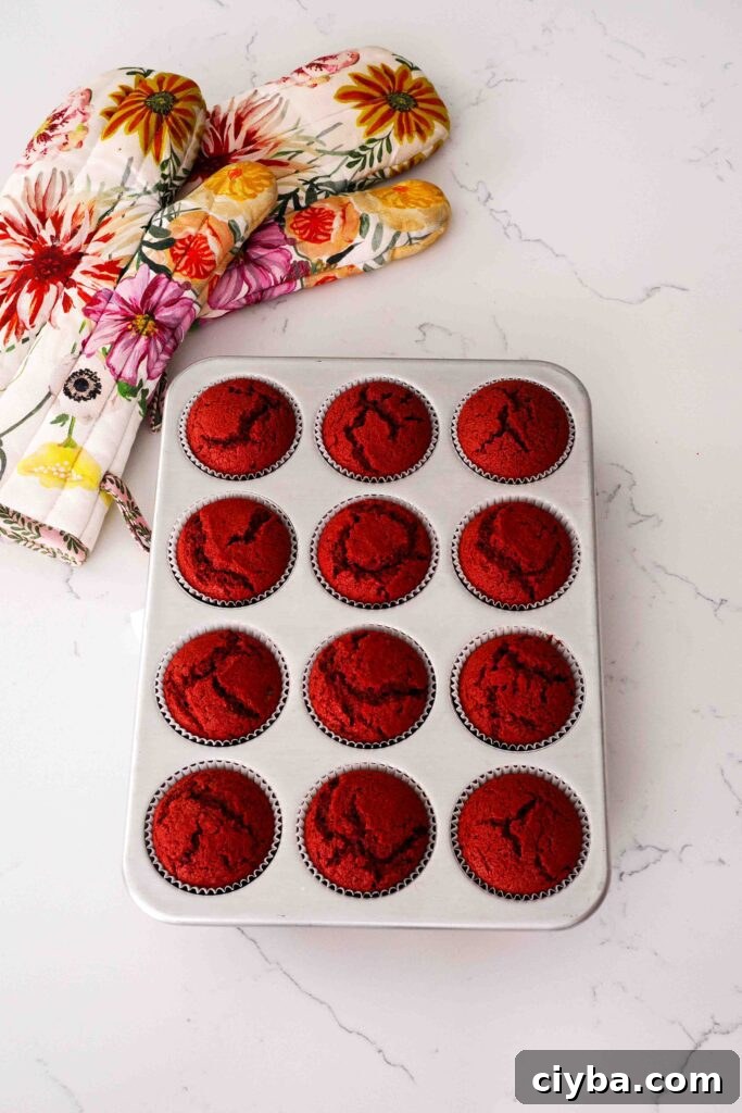 Red Velvet Cupcakes with Cream Cheese Frosting Recipe 8 Fully baked red velvet cupcakes on a quartz counter.
