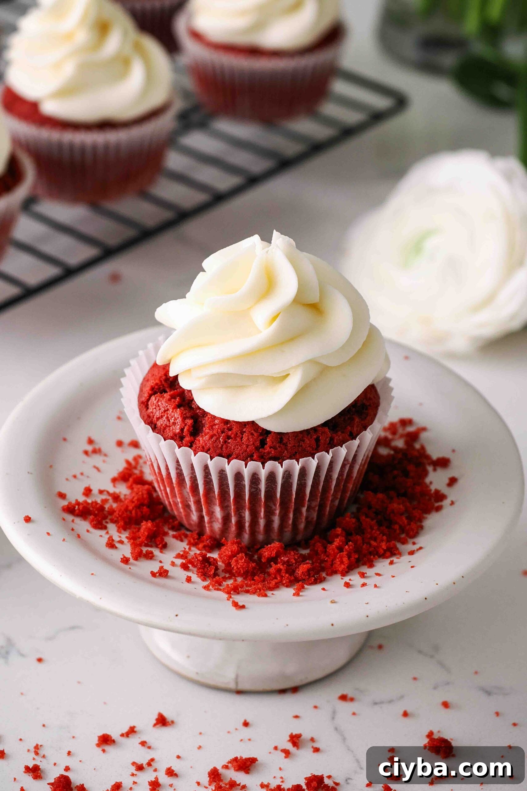 Red Velvet Cupcakes with Cream Cheese Frosting Recipe 13 A red velvet cupcake with cream cheese frosting on a cupcake stand with red velvet crumbs.