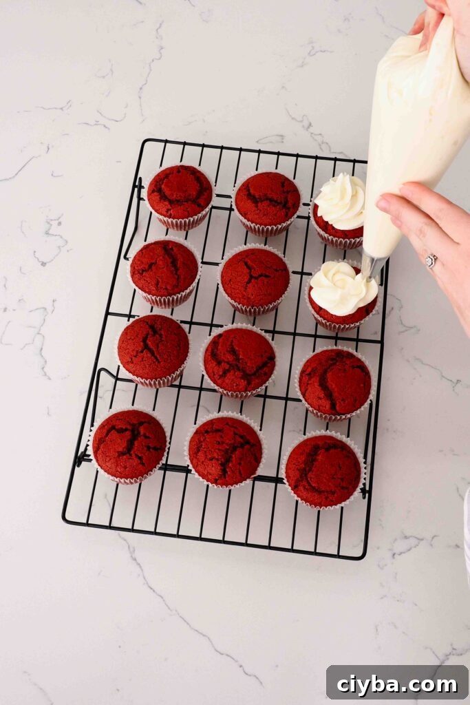 Red Velvet Cupcakes with Cream Cheese Frosting Recipe 14 Two hands pipe cream cheese frosting on top of cooled red velvet cupcakes.