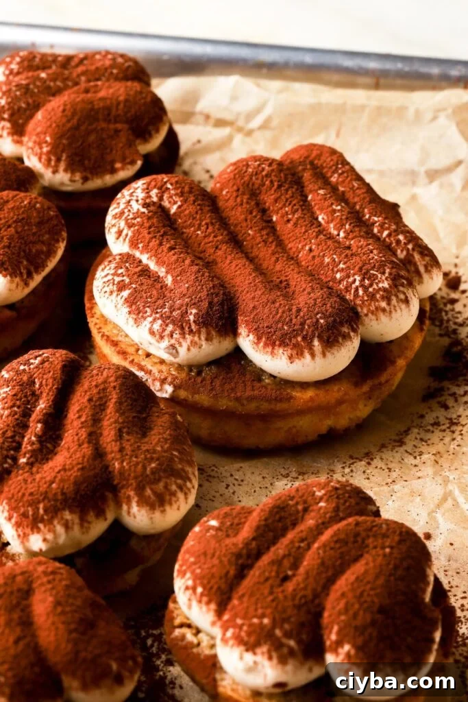 Fluffy Mascarpone Frosting Recipe for Cakes and Cupcakes 6 espresso soaked tiramisu donuts frosted with mascarpone cream and dusted with cocoa powder