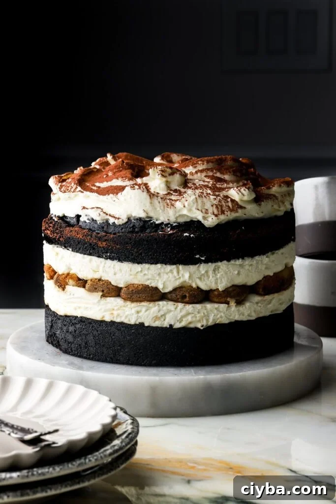 Fluffy Mascarpone Frosting Recipe for Cakes and Cupcakes 7 chocolate tiramisu cake with a plate and mugs next to it