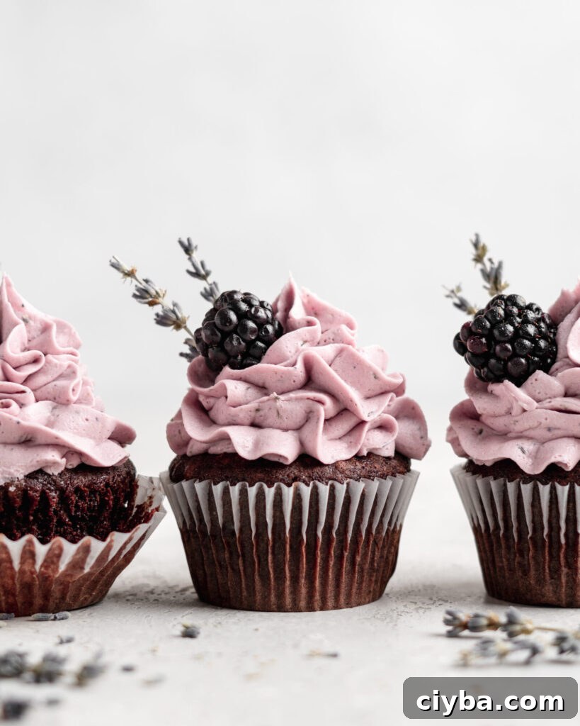 quick and easy chocolate cupcakes are topped with a creamy lavender blackberry buttercream frosting