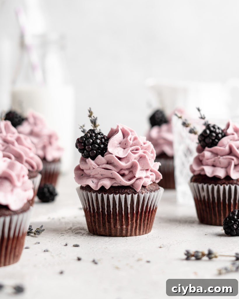 quick and easy chocolate cupcakes are topped with a creamy lavender blackberry buttercream frosting