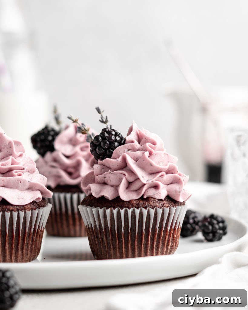 quick and easy chocolate cupcakes are topped with a creamy lavender blackberry buttercream frosting