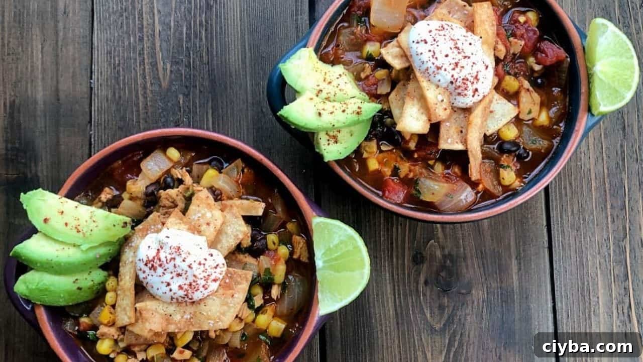 two bowls of chunky chicken tortilla soup