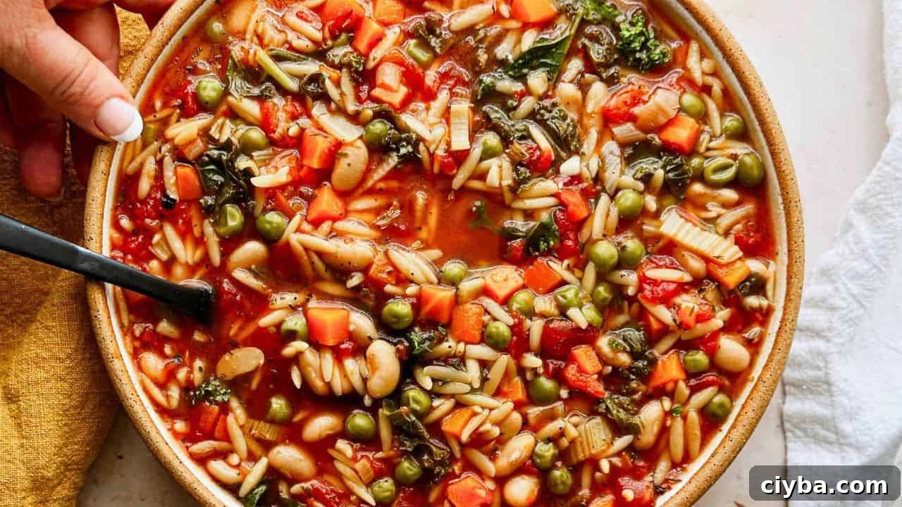 One-Pot Vegetable Orzo Soup