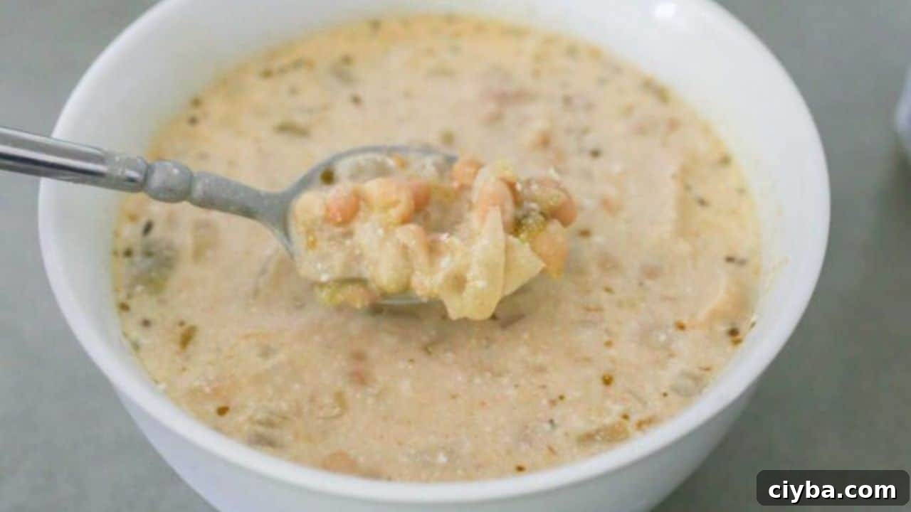 Creamy Chicken and White Bean Chili Recipe