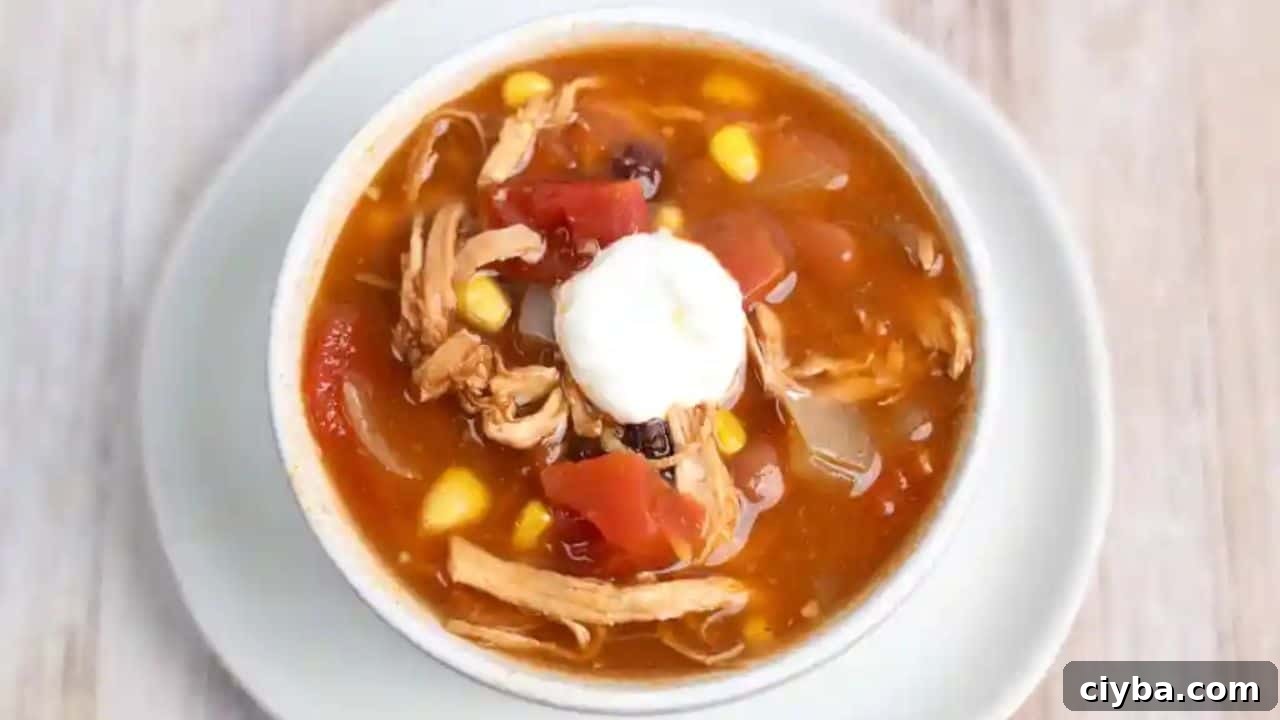 Crock Pot Chicken Enchilada Soup Recipe