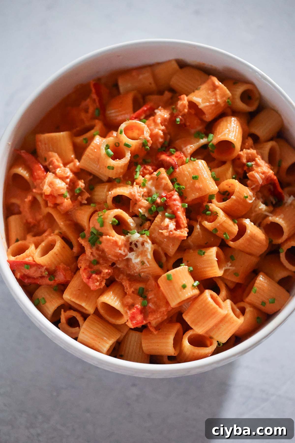 creamy lobster pasta up close. 