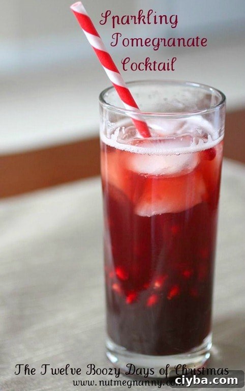 This sparkling pomegranate cocktail is the perfect holiday drink. Full of pomegranate juice, fresh pomegranate seeds, vodka and just a touch of seltzer water.