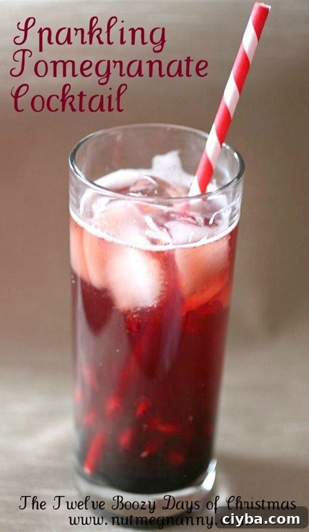 This sparkling pomegranate cocktail is the perfect holiday drink. Full of pomegranate juice, fresh pomegranate seeds, vodka and just a touch of seltzer water.