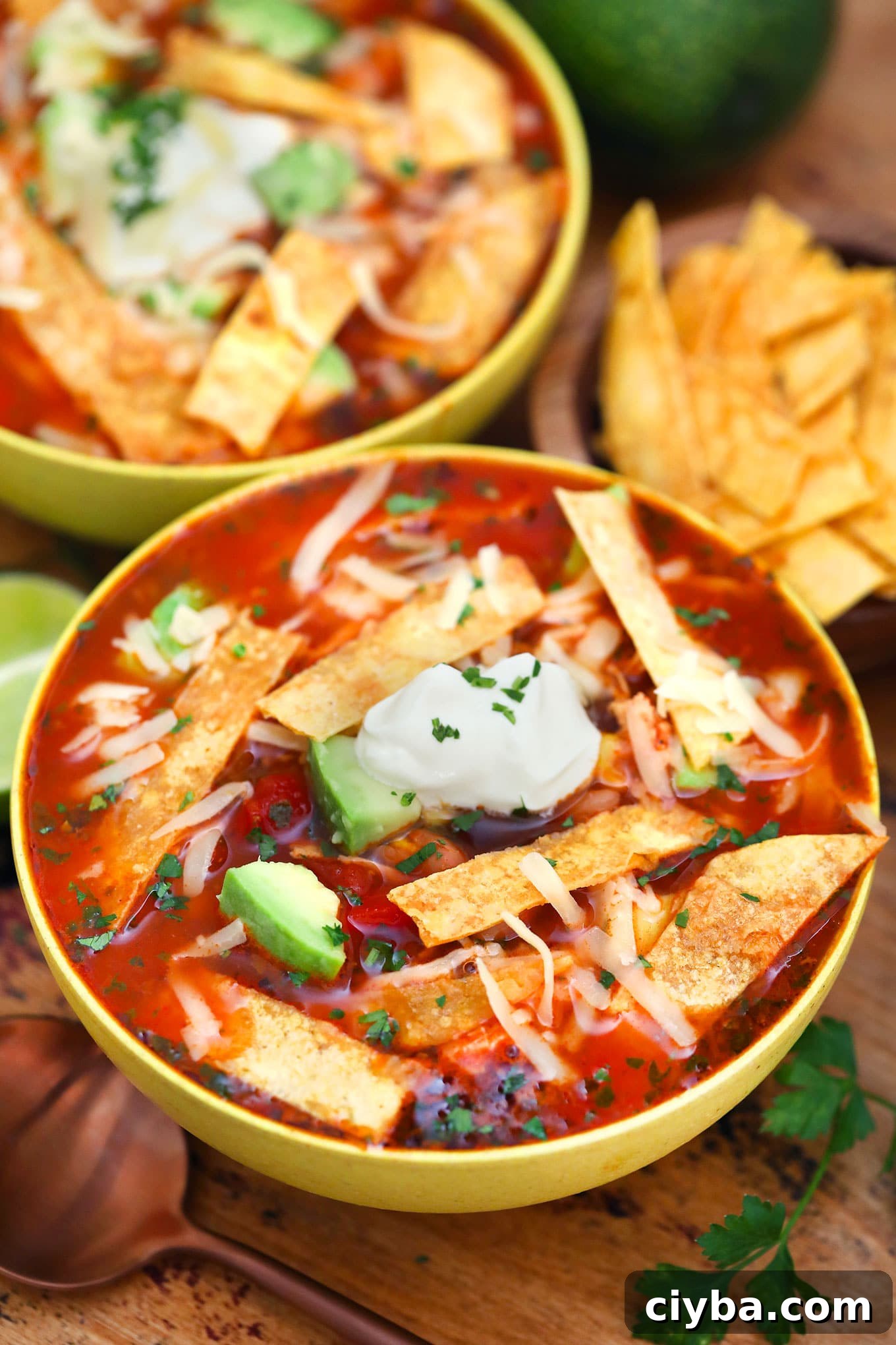Hearty Chicken Tortilla Soup Recipe with Crispy Tortilla Strips 6 Chicken Tortilla Soup adds heat to the cold nights of winter! Let this dish warm you up this season! It is flavorful, hearty, and makes for a quick dinner! #chickenfoodrecipes #souprecipe #mexicanrecipes #sweetandsavorymeals #chickentortillasoup