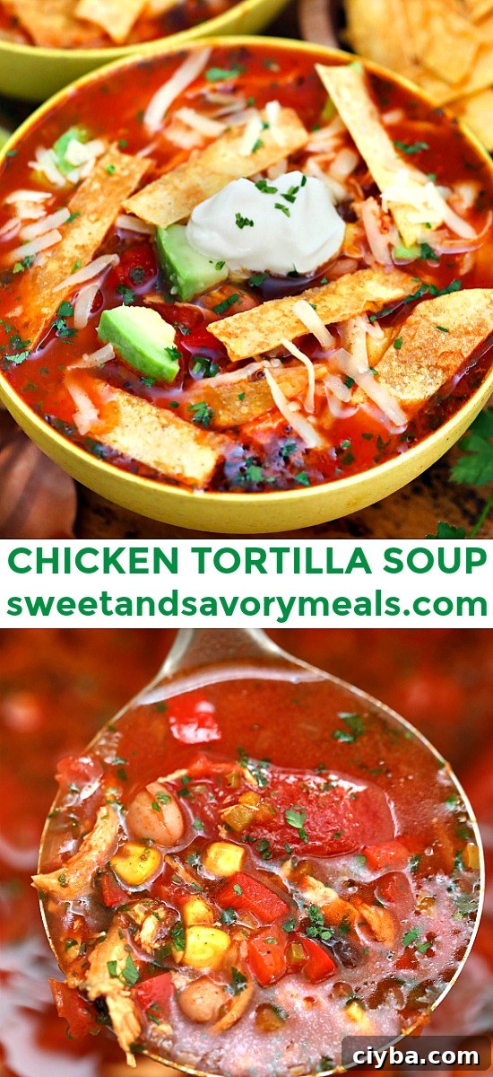 Hearty Chicken Tortilla Soup Recipe with Crispy Tortilla Strips 7 Chicken Tortilla Soup adds heat to the cold nights of winter! Let this dish warm you up this season! It is flavorful, hearty, and makes for a quick dinner! #chickenfoodrecipes #souprecipe #mexicanrecipes #sweetandsavorymeals #chickentortillasoup