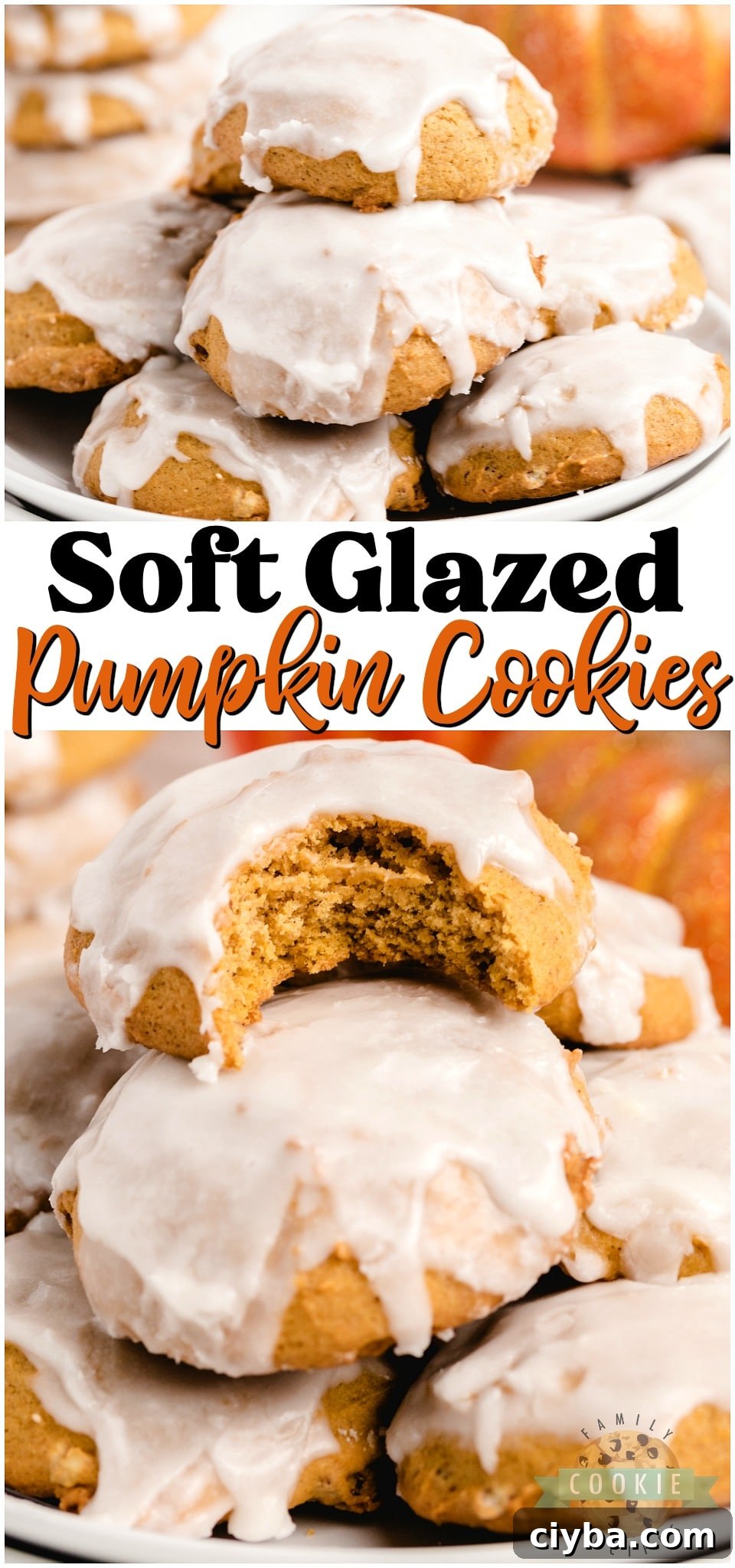 Iced Pumpkin Cookies are spiced with cinnamon, nutmeg & vanilla for a soft & sweet pumpkin dessert. These easy pillowy pumpkin cookies iced with smooth vanilla icing are perfect for pumpkin lovers!