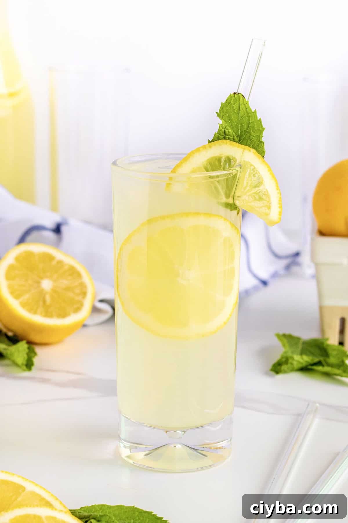 Fresh Mint Lemonade by The BakerMama