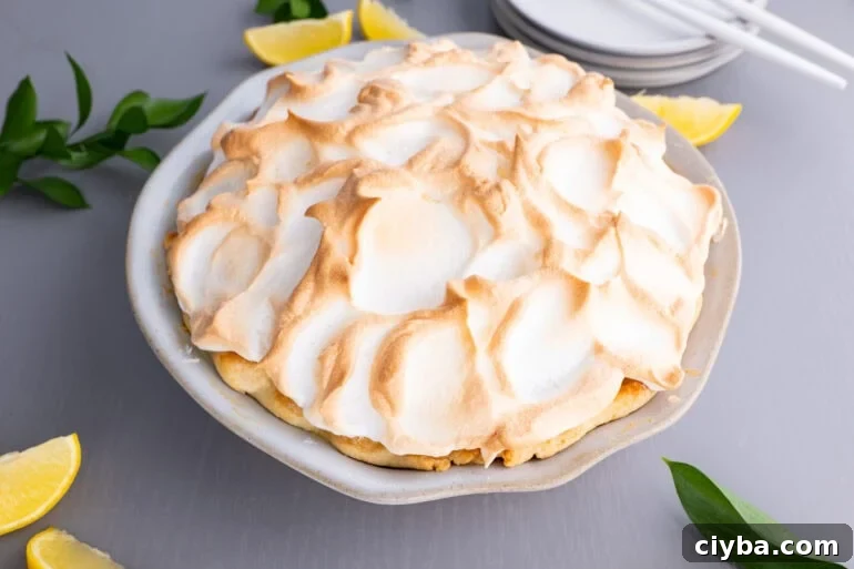Whole lemon meringue pie with golden topping