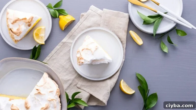 Slice of pie on a white plate photographed from above