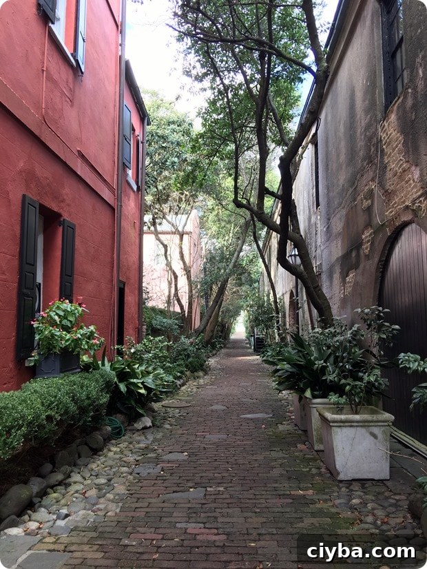 charleston cute alley