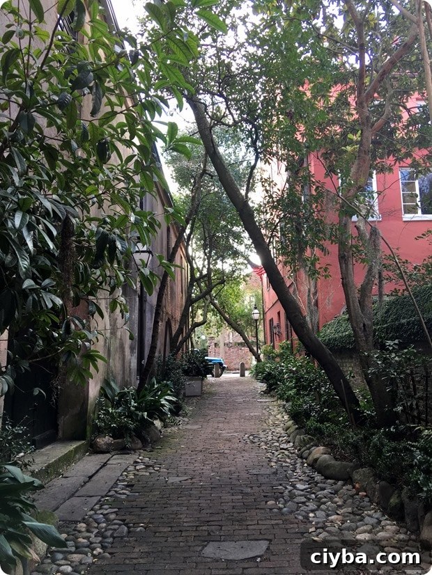 charleston alley walking 