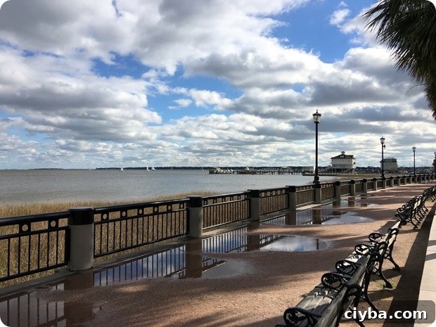 the battery charleston
