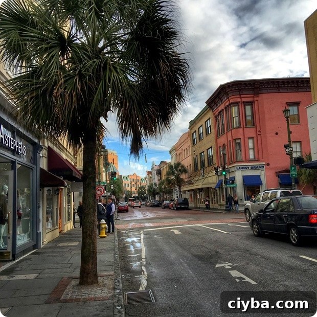 charleston shopping