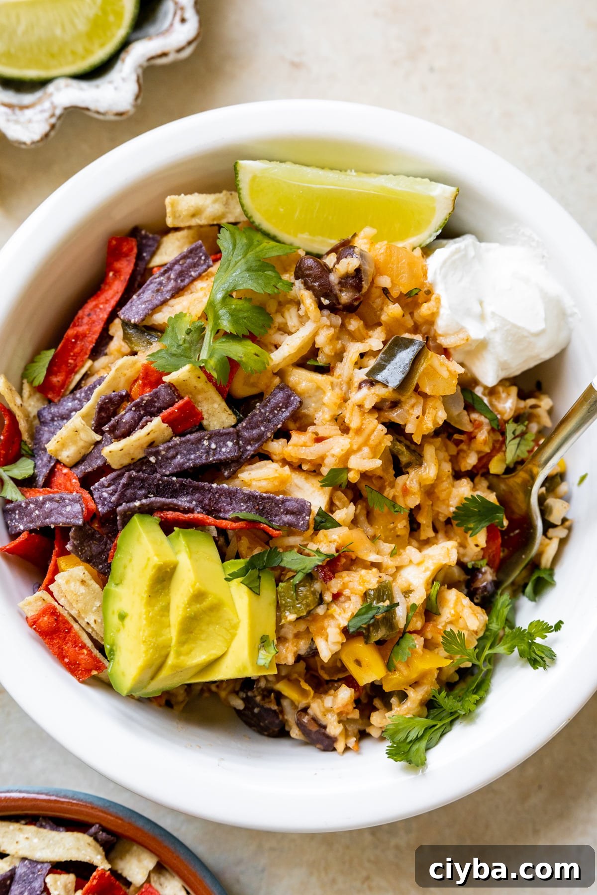 chicken and rice in a white bowl topped with cilantro, avocado and tortilla strips.