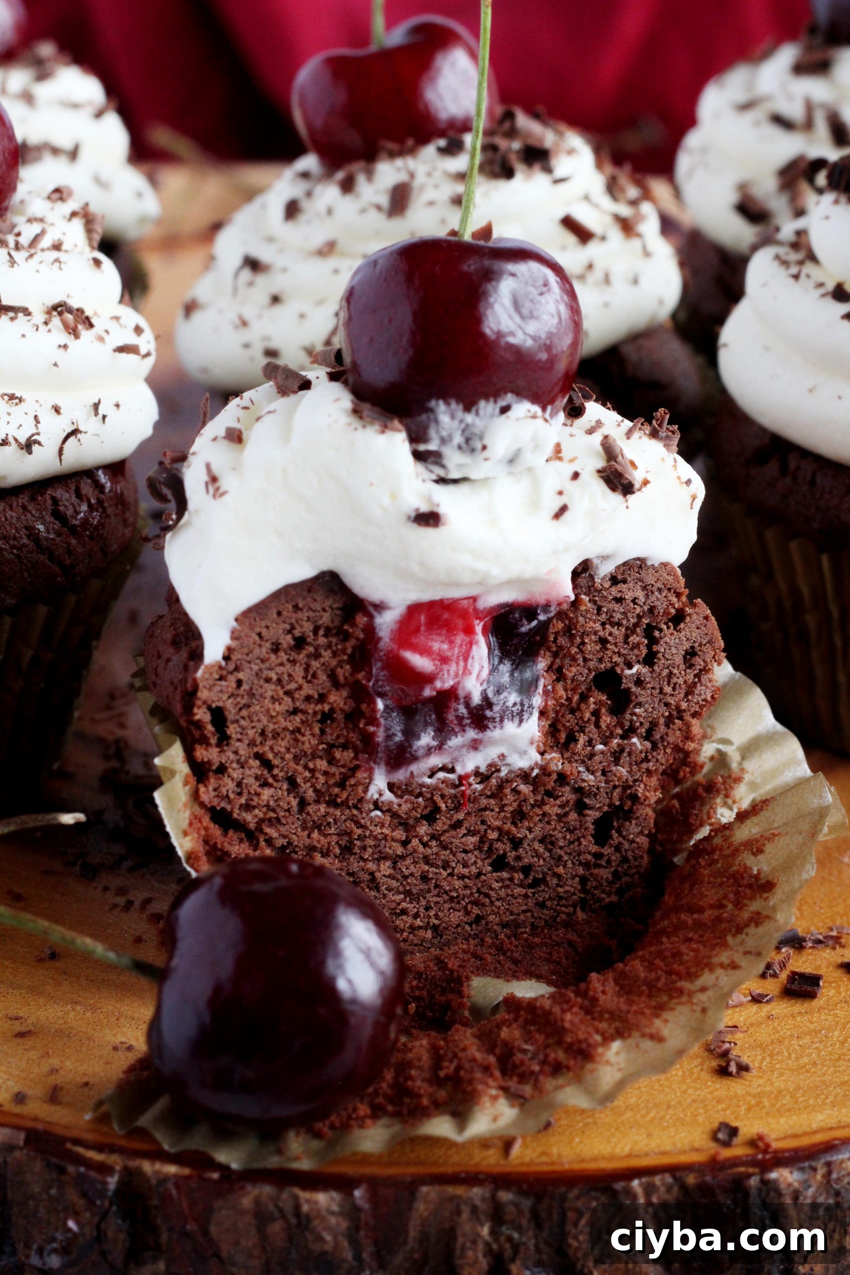 black forest cupcake cut in half with cherry on top
