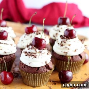 black forest cupcakes featured image