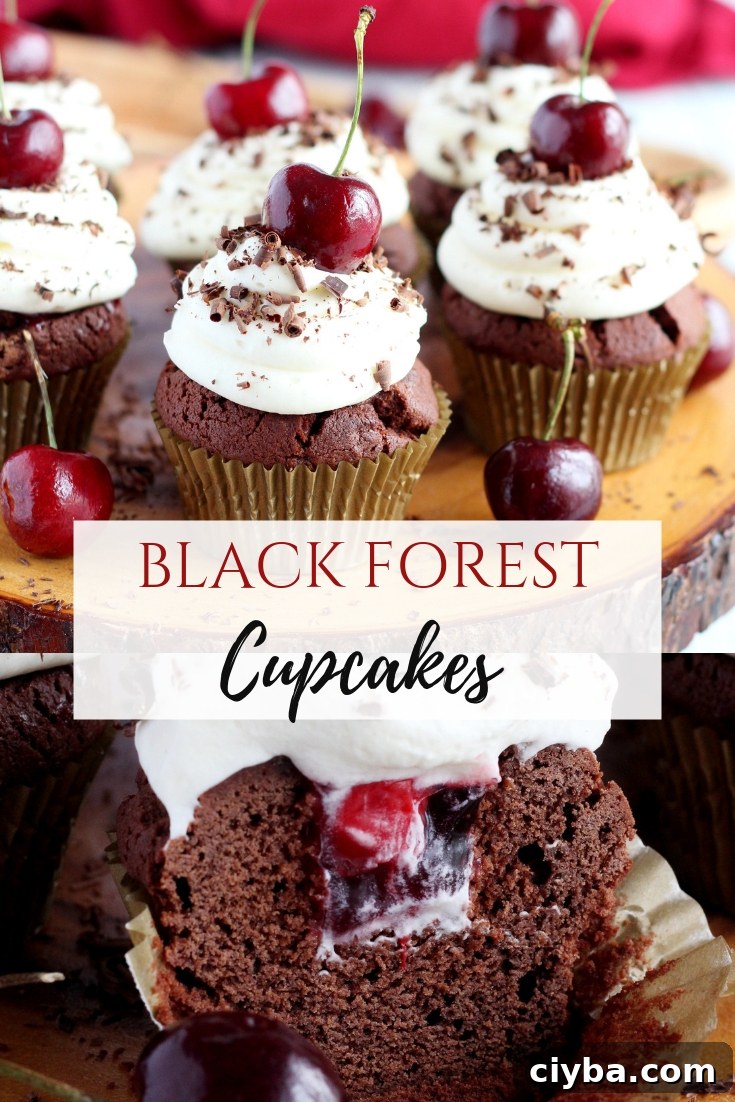 pinterest image for black forest
