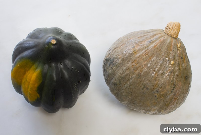 Acorn Squash (left) Blue Hubbard Squash (right)