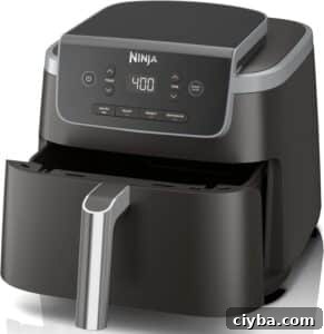 Ninja Air Fryer Pro