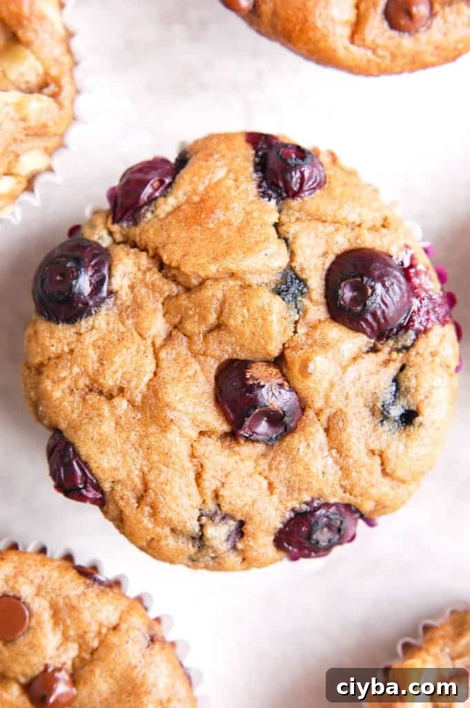 blueberry blender muffin