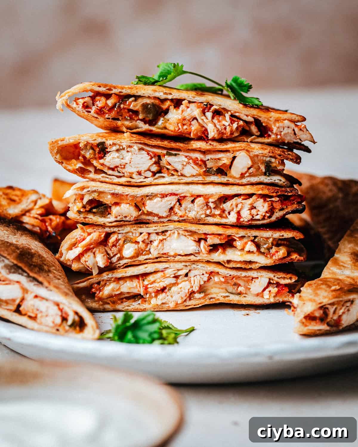 A stack of sliced quesadillas filled with shredded chicken tinga sits on a white plate, garnished with fresh cilantro. The quesadillas have crispy, golden-brown tortillas.