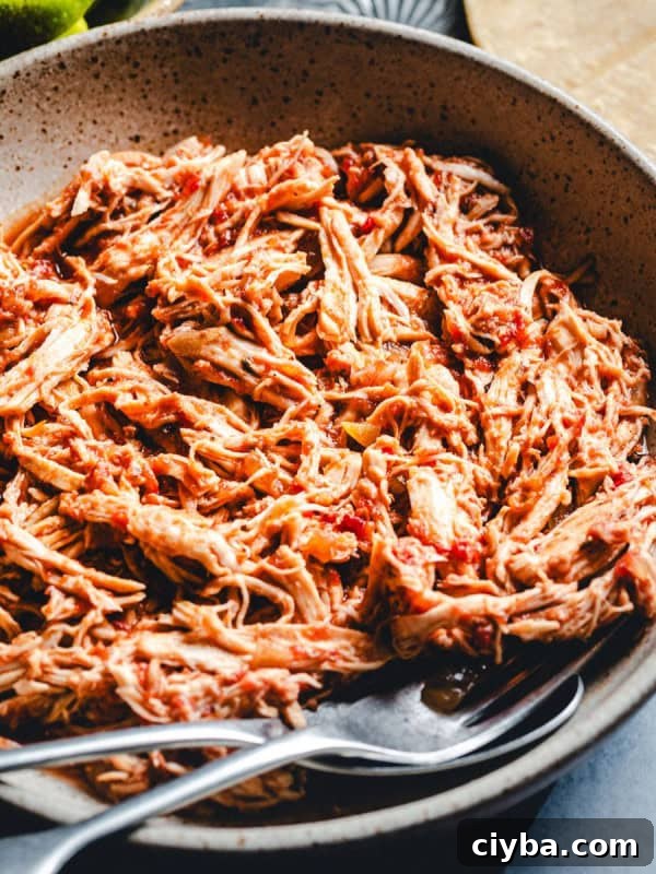 A bowl of shredded chicken tinga, featuring a reddish hue. Two metal forks rest in the bowl, suggesting the dish is ready to be served. There are lime wedges visible in the background.
