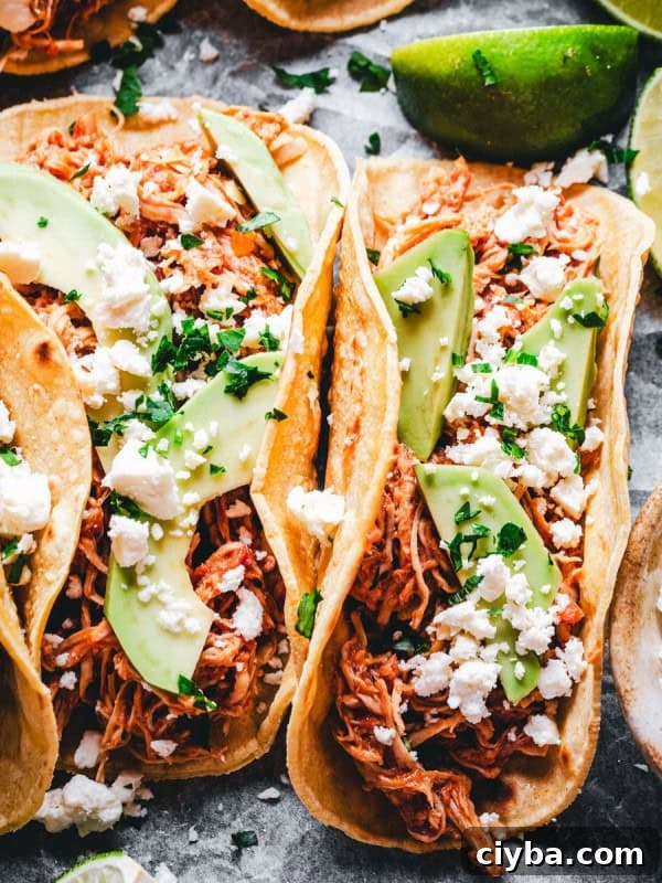 Three soft chicken tinga tacos filled with shredded meat, sliced avocado, crumbled cheese, and chopped cilantro. Lime wedges are on the side, with a bowl of extra cheese nearby, all on a rustic surface.