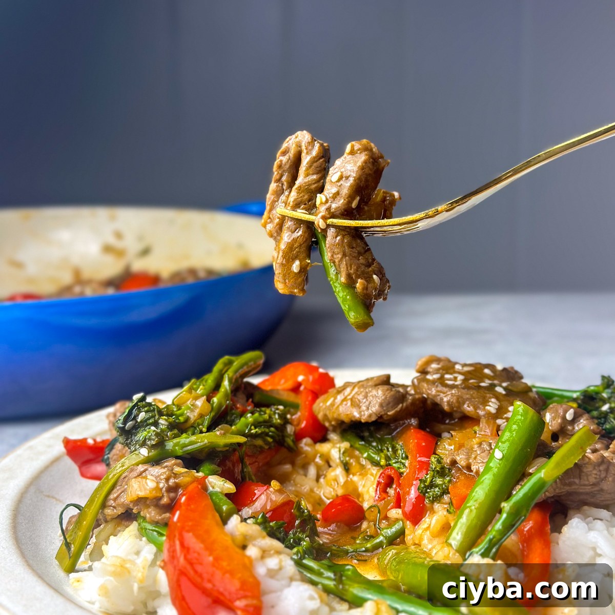 steak stir fry