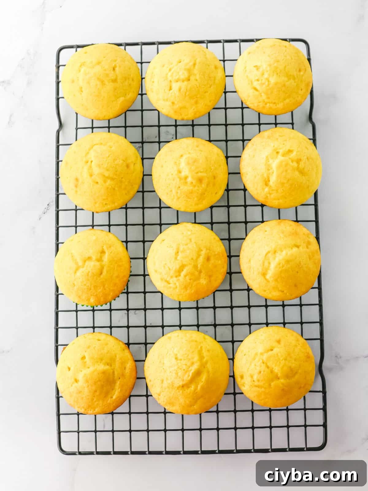 Twelve plain yellow muffins cooling on a black wire rack, placed on a white marble surface.