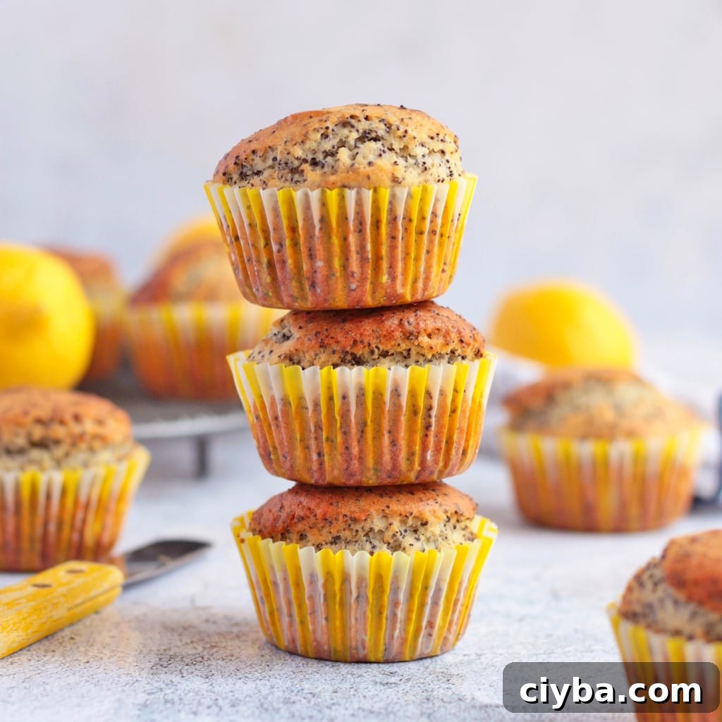 Stack of 3 Lemon and Poppy Seed Muffins.