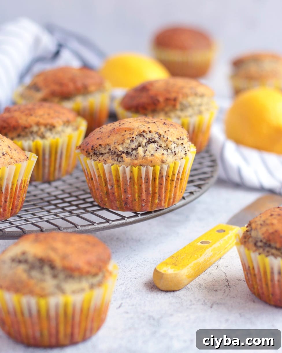 Muffins on a Metal Cooling Tray.